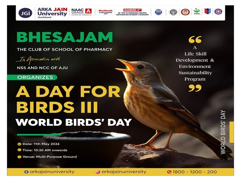 A Day For Birds III